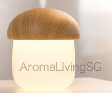3-Aroma Living Air Humidifier